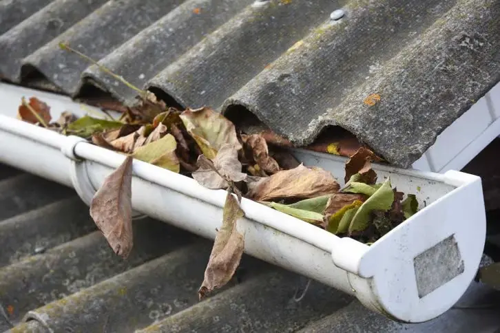Gutter cleaning